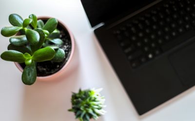 Trouvez le vase idéal pour la déco et pour les fleurs