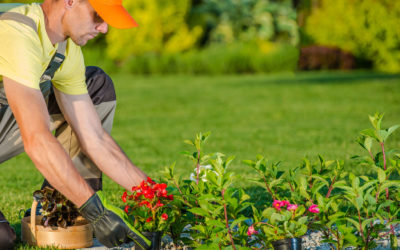 Travaux de jardinage : pourquoi et comment planifier le temps idéal pour les réaliser ?