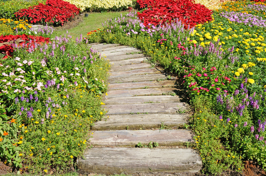 bois allée jardin