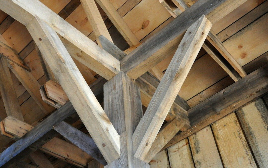 Maison à ossature en bois : de bonnes raisons d’opter pour cette construction