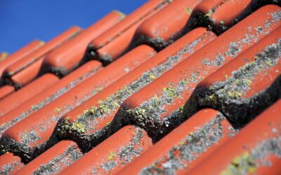 Nettoyage toiture : 3 solutions pour éviter de grimper sur votre toit