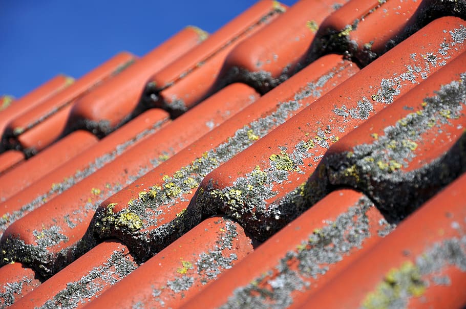 Nettoyage toiture : 3 solutions pour éviter de grimper sur votre toit
