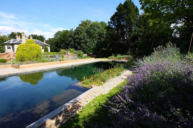 Piscine écologique : une approche durable de la baignade